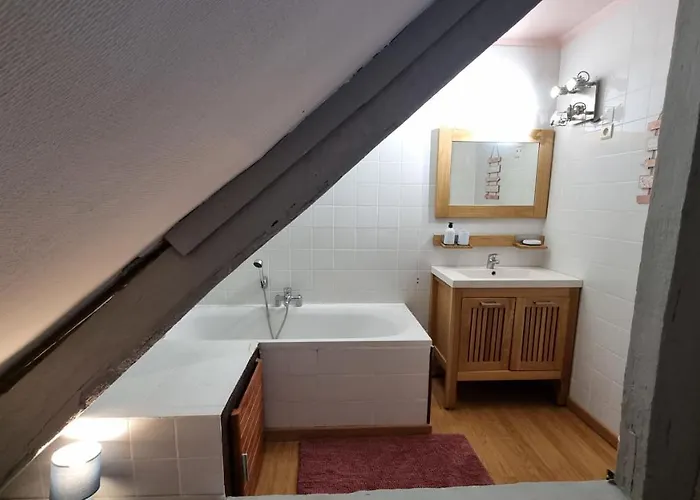 Maison Au Coeur Des Bois Tatil Evi *